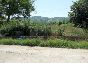 Foto 6 - Terreno agricolo Via sciacquatoio, Spinetoli - foto 6