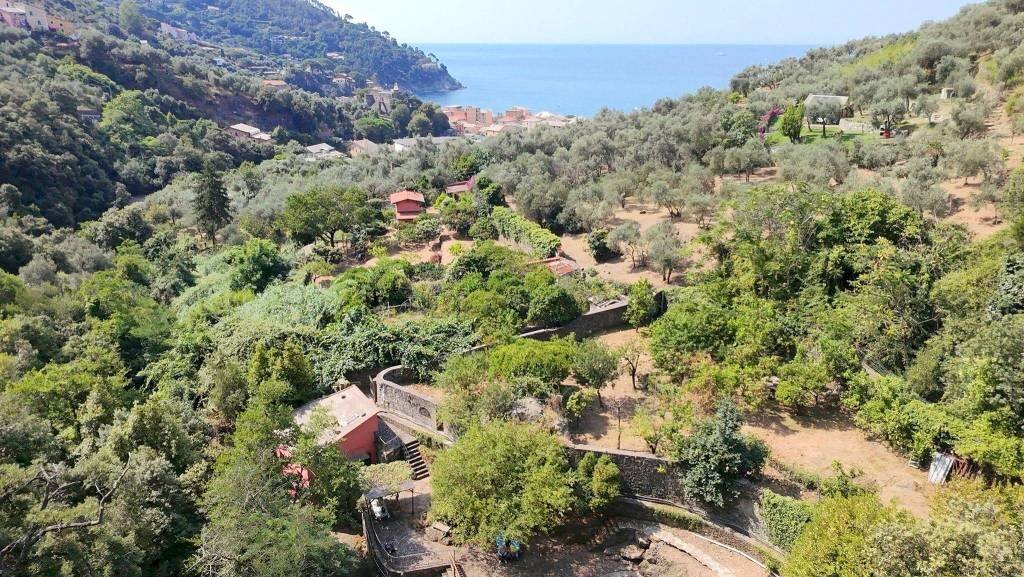 Vista - Rustic Località Fena, Bonassola - photo 1