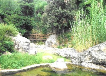 Terreno - Rustico Località Fena, Bonassola - foto 7