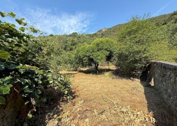 Terreno - Rustico Località Fena, Bonassola - foto 29