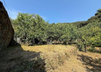 Terreno - Rustico Località Fena, Bonassola - foto 31