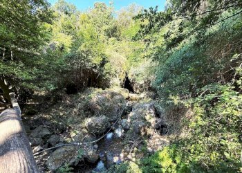 Terreno - Rustico Località Fena, Bonassola - foto 33