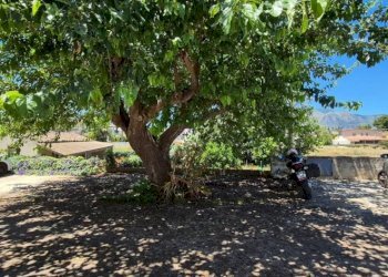 Posto macchina - Independent house SP55, Alcamo - photo 5