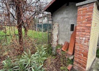 Villa Pinerolo - foto 4