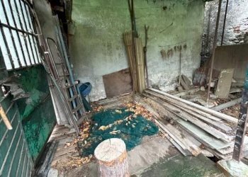 Villa Pinerolo - foto 5