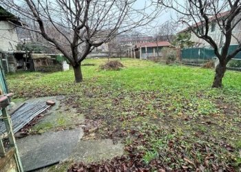 Villa Pinerolo - foto 9