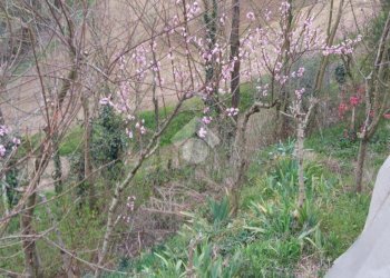 Semi-detached house Via lovencito, Moriondo Torinese - photo 45