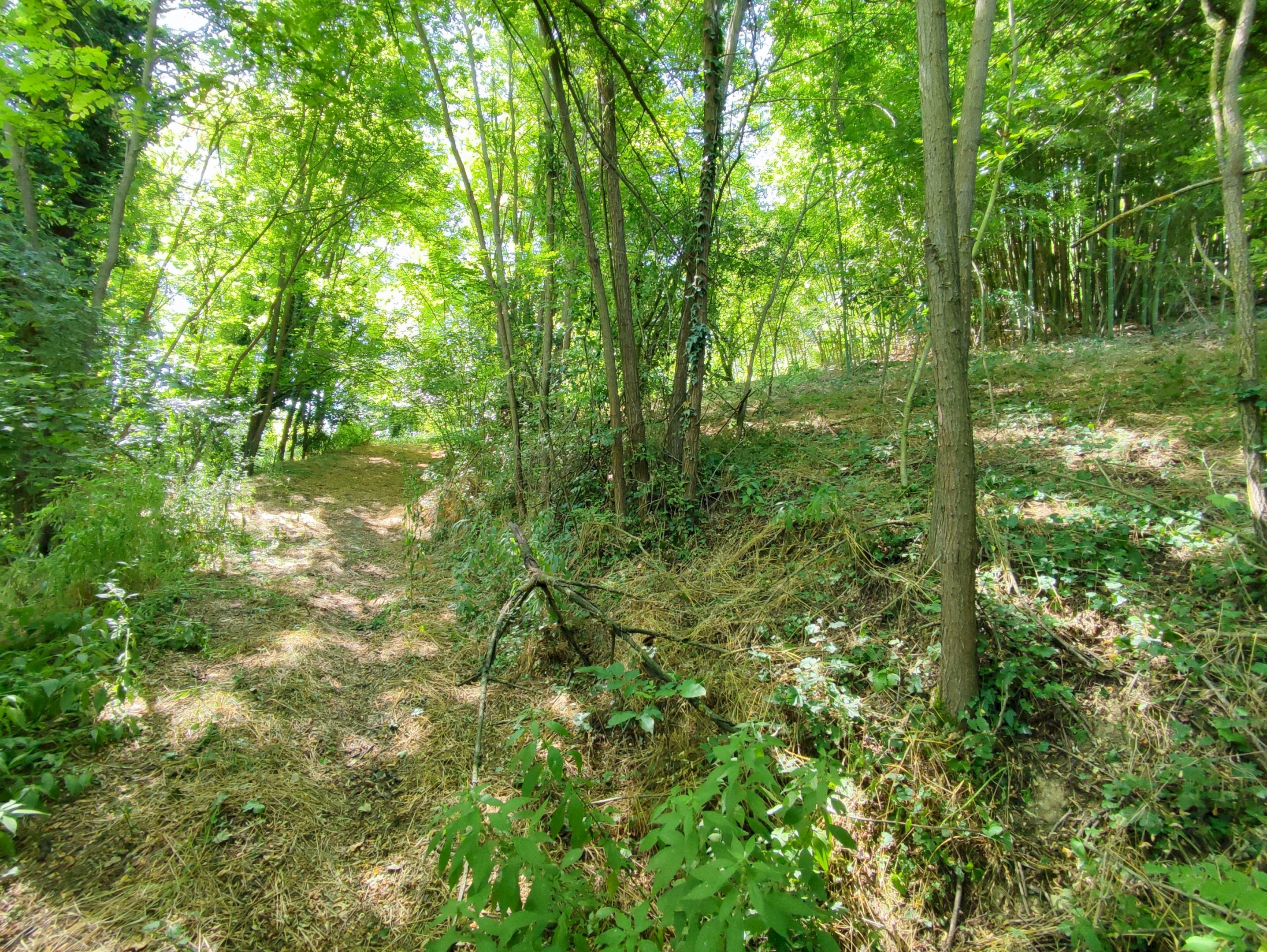 Independent house via sant'anna, 55, Rocca d'Arazzo - photo 2