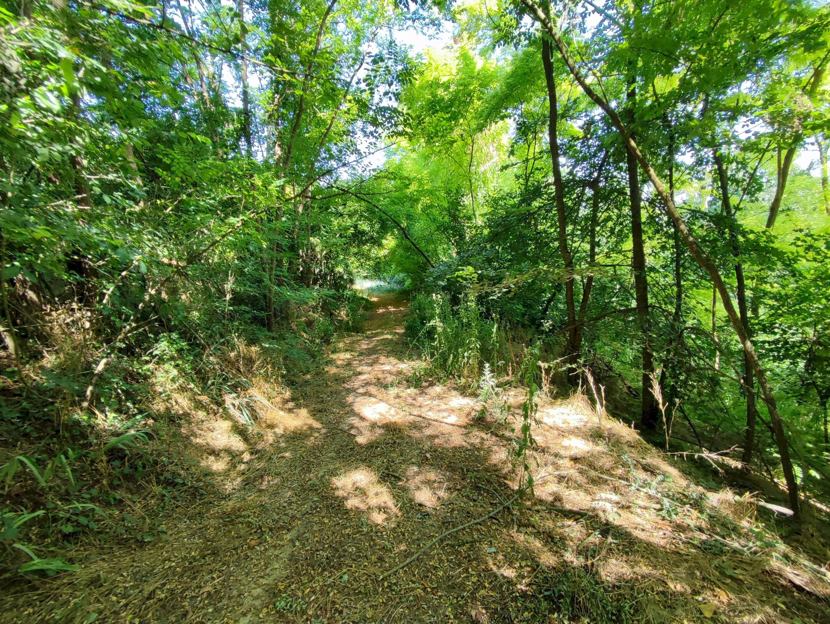 Independent house via sant'anna, 55, Rocca d'Arazzo - photo 3