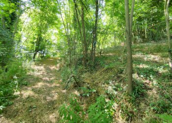 Independent house via sant'anna, 55, Rocca d'Arazzo - photo 2