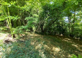 Independent house via sant'anna, 55, Rocca d'Arazzo - photo 31