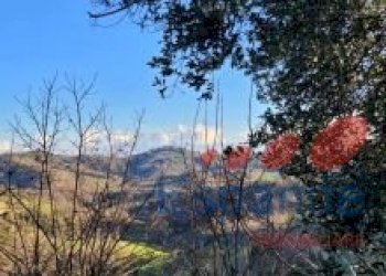 Casa indipendente Bertinoro - foto 10