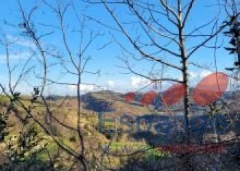 Casa indipendente Bertinoro - foto 11