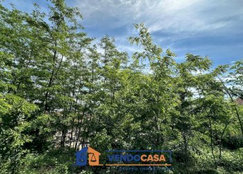 Rustic Cherasco - photo 11