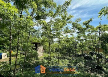 Rustic Cherasco - photo 12