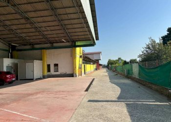 Negozio Brusasco - foto 7