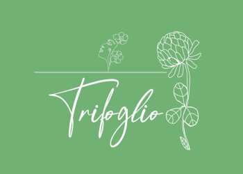 Foto 29 - Villa VIA DELL'AERONAUTICA
 
10, Monterotondo - foto 29