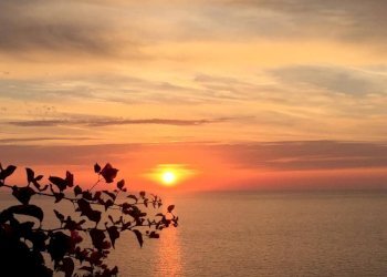 Foto 15 - Bilocale Trinità d'Agultu e Vignola - foto 15