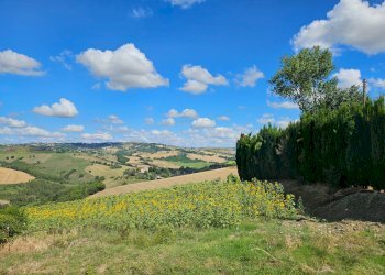 Foto 40 - Rustico Montappone - foto 40