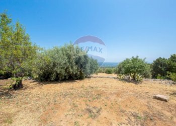 Giardino - Villa SP73 TRAVERSA LA MARCHESA, Noto - foto 51