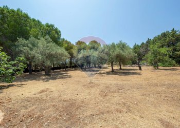 Giardino - Villa Traversa la Marchesa, Siracusa - foto 6