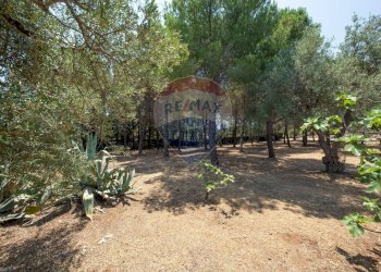 Pineta - Villa Traversa la Marchesa, Siracusa - foto 7