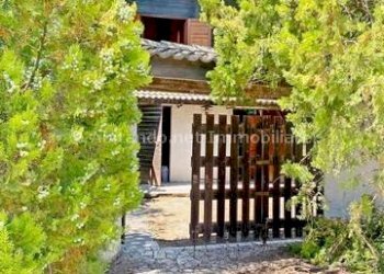 Foto 3 - Casa indipendente Loreto Aprutino - foto 3