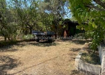 Foto 16 - Casa indipendente Loreto Aprutino - foto 16