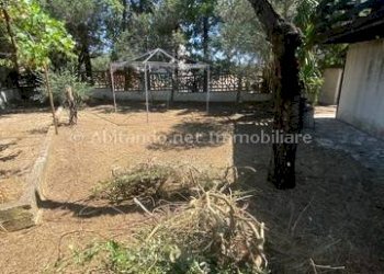 Foto 17 - Casa indipendente Loreto Aprutino - foto 17