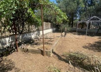 Foto 18 - Casa indipendente Loreto Aprutino - foto 18