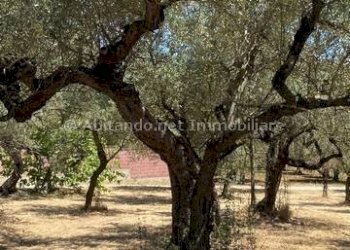 Foto 21 - Casa indipendente Loreto Aprutino - foto 21