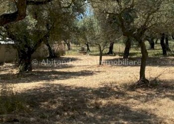 Foto 22 - Casa indipendente Loreto Aprutino - foto 22