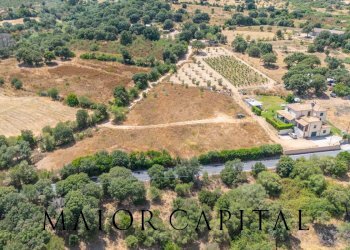 Foto 6 - Terreno edificabile Via L'Alzolu, Loiri Porto San Paolo - foto 6