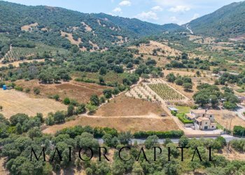 Foto 10 - Terreno edificabile Via L'Alzolu, Loiri Porto San Paolo - foto 10