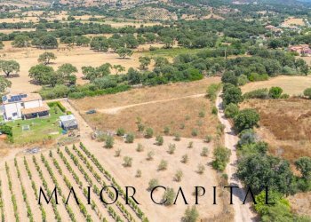 Foto 22 - Terreno edificabile Via L'Alzolu, Loiri Porto San Paolo - foto 22