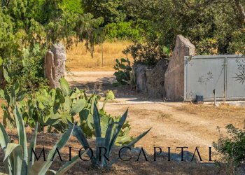 Foto 68 - Villa SS127, Telti - foto 68