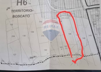 Pianta 2D - Terreno edificabile SP 84 Sangrina, Roccaraso - foto 3