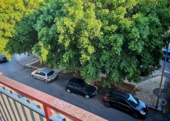 Foto 22 - Appartamento Paterno - foto 22