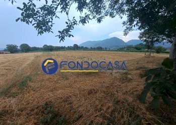 Foto 31 - Villa via calore
 
10, Amorosi - foto 31