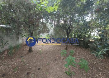 Foto 34 - Villa via calore
 
10, Amorosi - foto 34