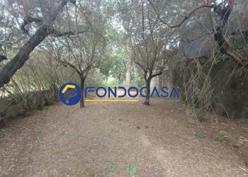 Foto 35 - Villa via calore
 
10, Amorosi - foto 35