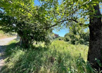 Casa semi indipendente Via Centrale, Castellamonte - foto 31