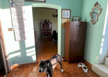 Appartamento Piazza Sciesa, Genova - foto 30