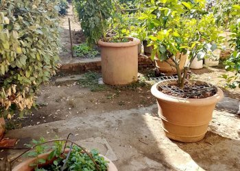 Foto 6 - Appartamento Montespertoli - foto 6