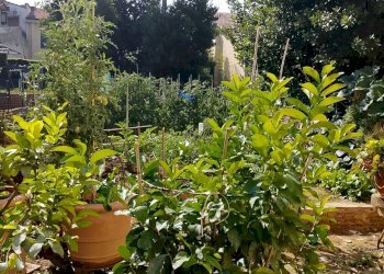 Foto 7 - Appartamento Montespertoli - foto 7