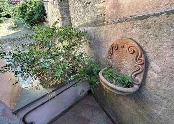 Foto 40 - Rustico Via Maggiore, Castelvecchio di Rocca Barbena - foto 40