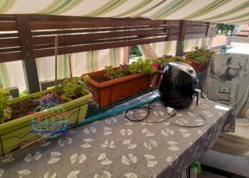 Foto 19 - Monolocale VIA LAVINO, Sala Bolognese - foto 19