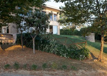 Foto 37 - Villa VALLE DELLA MORTE, Sant'Elpidio a Mare - foto 37