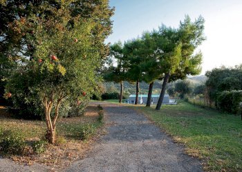 Foto 42 - Villa VALLE DELLA MORTE, Sant'Elpidio a Mare - foto 42