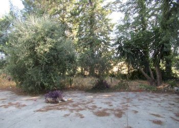 Foto 9 - Independent house Via Dei Peschi
 
13, Spoltore - photo 9